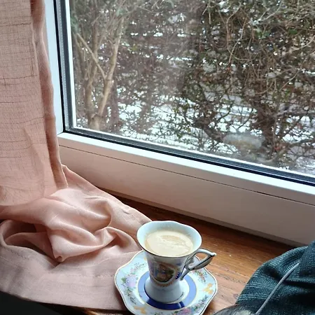 Friendship Nook Apartment Brasov
