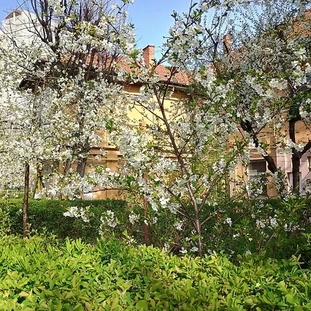 Friendship Nook * Braşov