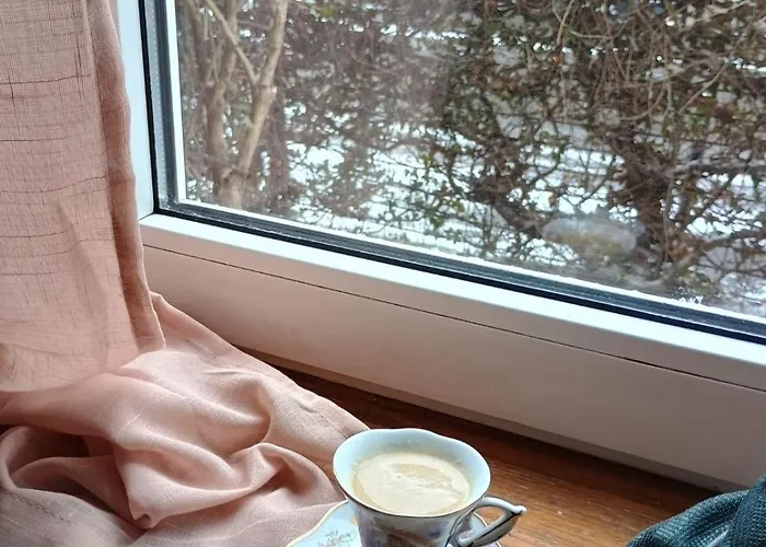 Friendship Nook Apartment Brasov