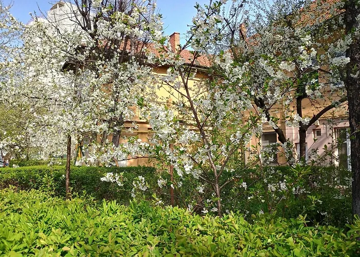 Friendship Nook * Brasov